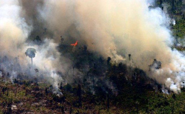 desmatamento-amazonia-quintuplica