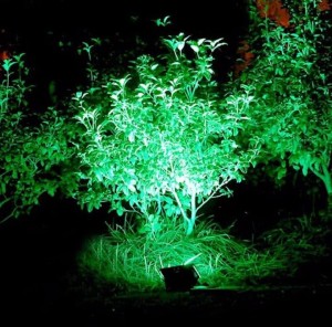 garden-led-flood-spot-light